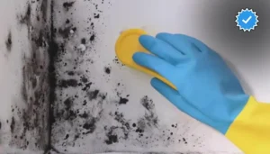 از بین بردن قارچ سرویس بهداشتی