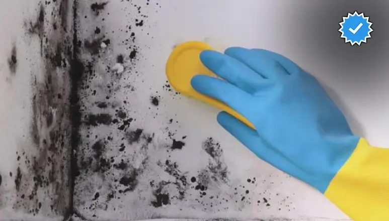 از بین بردن قارچ سرویس بهداشتی