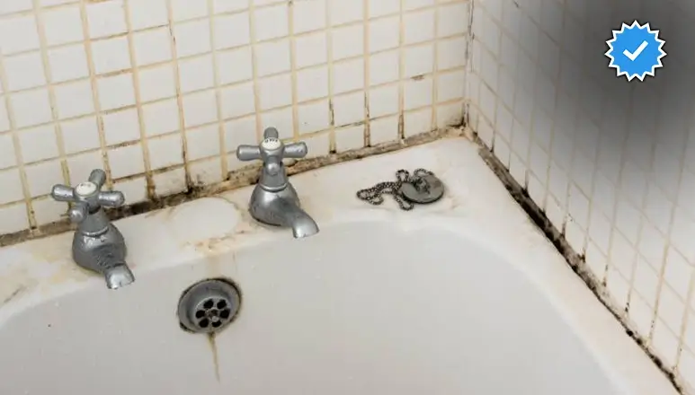 از بین بردن قارچ سرویس بهداشتی