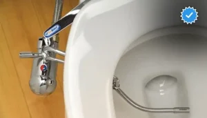 بیده توالت فرنگی