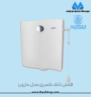 flash-tank-kasra-maron.jpg flash-tank-kasra-maron.jpg