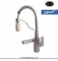 shower-faucet-kitchen-arian-flat.jpg